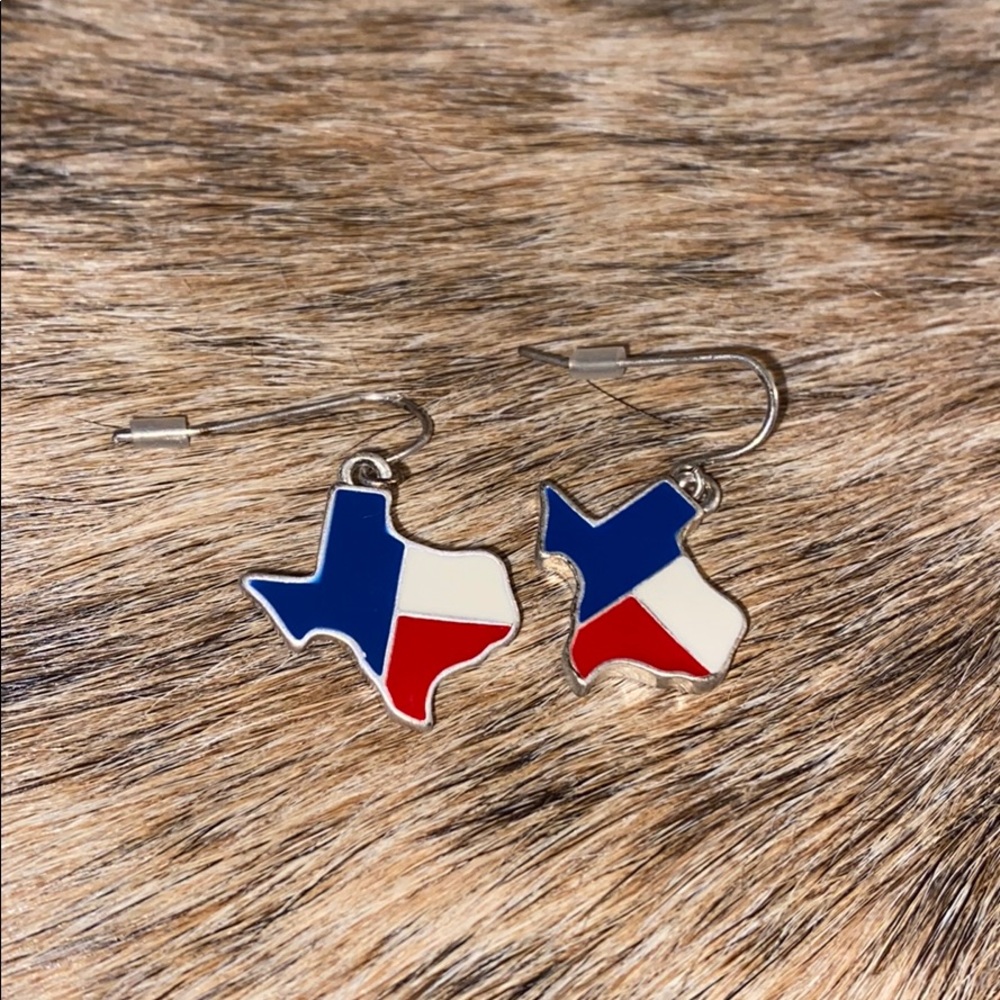 Small Texas earrings